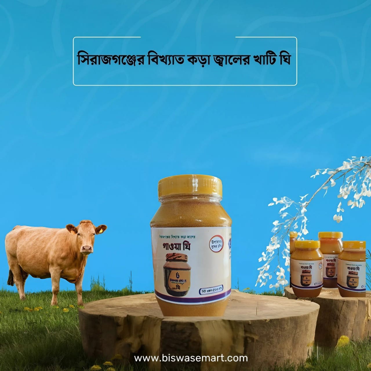 কড়া জালের ঘি ২৫০ গ্রাম